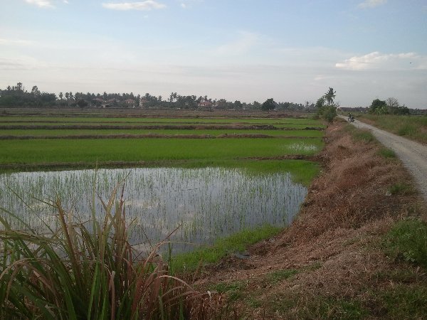 tanah-kediaman-kampung-padang-tepi-batas-ban-tikam-batu-jln-ke-kota-kuala-muda_1.jpg